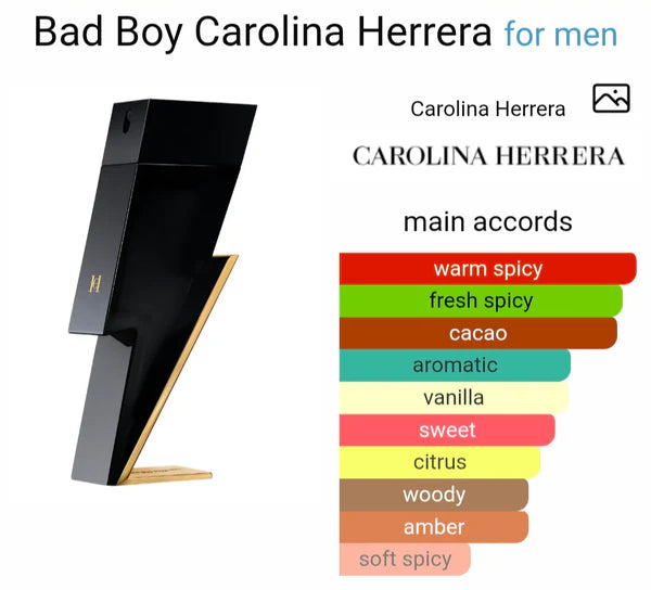 CAROLLINA HERRERAA BAD BOY EAU DE PERFUME