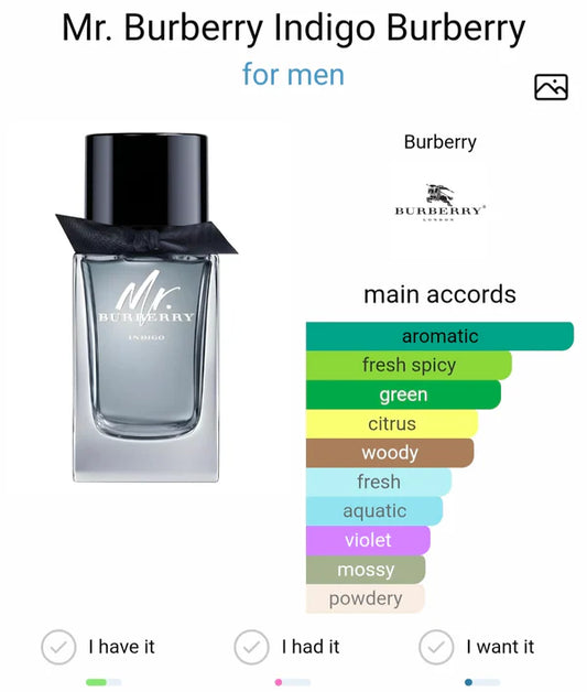 MR. BURBERRY INDIGO EDT